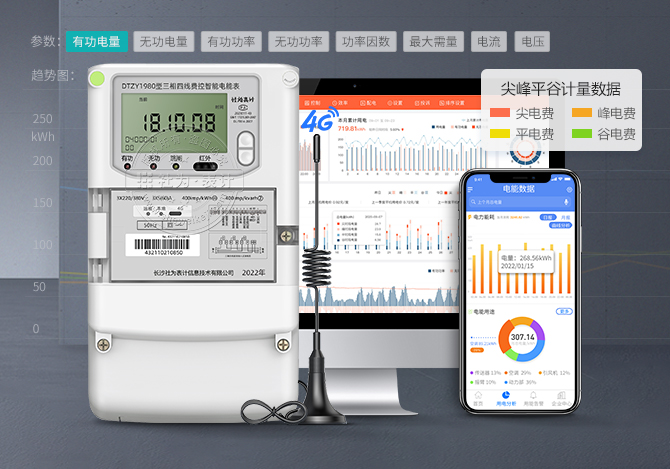 DTZY19804G無線智能電表